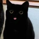 kaifireheart-blog avatar