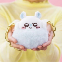 kaiiwa-kawaii avatar