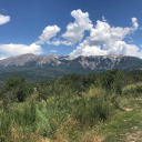 kailisaberrose avatar