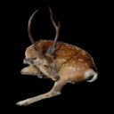 kairoscler0sis avatar