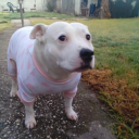 kaiserschlact avatar