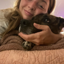 kaitlynlayton avatar