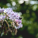 kaitlynnkoppphotography avatar