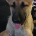 kaiyathegsd avatar