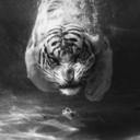 kaiyunku-blog avatar