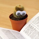 kaiza-minnelli avatar