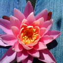 kaizokurenter avatar