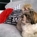 kaja-skowronek avatar