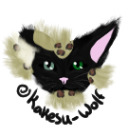 kakesuwolfart avatar