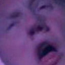 kaktusbersich-blog avatar