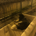 kalakaldimoylece avatar