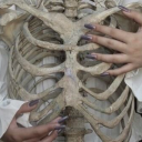 kaldirimcicekleri avatar