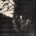 kaleahsbraindump avatar