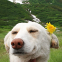 kaleandmangos avatar