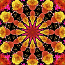 kaleidoscope-xx avatar