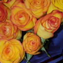 kaleidoscopemalu avatar