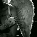 kalemsusmus avatar