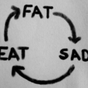 kalenderbirveda avatar