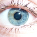 kaliopehanazono avatar