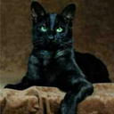 kaluchii avatar