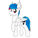 kamithepony avatar