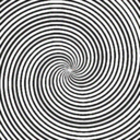 kangarootcanal avatar