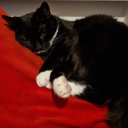 kaoslikesstuff avatar