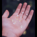 kaptanincekvar avatar