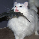 karaluszek6969 avatar