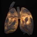 karamsarbiri9 avatar