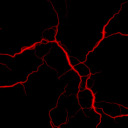 karanlik0kyanus avatar