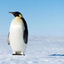 kararsizreblogger avatar