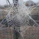 karasthoughtss avatar