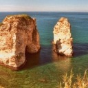 kareligomleeek avatar