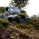 karencookephotography avatar