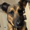 karenvideoeditor-blog avatar