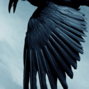 karenweaver76 avatar