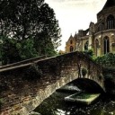 karin-hoshikawa avatar