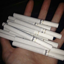 karincaninanasi-blog avatar