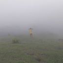 karippimanis-blog avatar