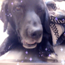 karkatfuckingvantasshole avatar