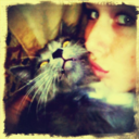 karlywrnr-blog avatar