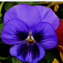 karm3n072-blog avatar