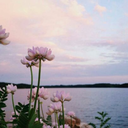 karma987-blog avatar