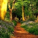 karruecheisfat avatar