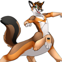 kartfox avatar