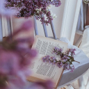 kartofelinka20 avatar