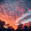 karushuu-enthusiast avatar