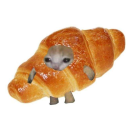 kashacroissant avatar