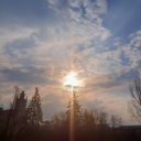 kassandra-wasp-hyena-girlthigh avatar